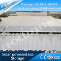 Foucusun solar powered containerized easy move and installation ice storage